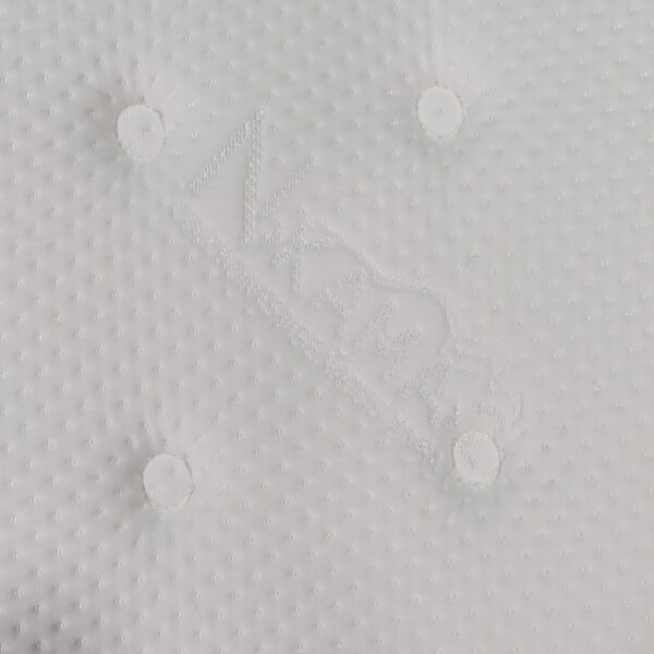 Iceberg - Imagen 4